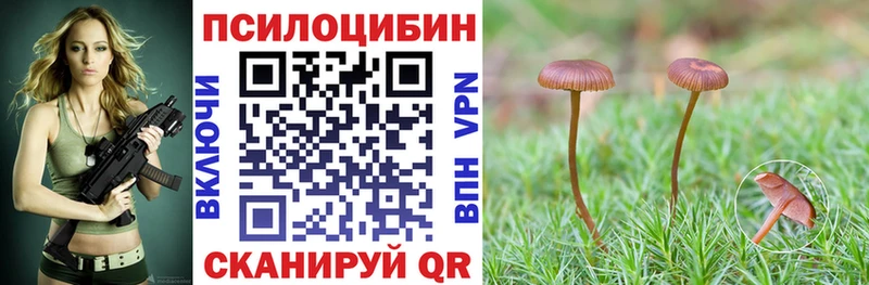 Галлюциногенные грибы мицелий Валуйки