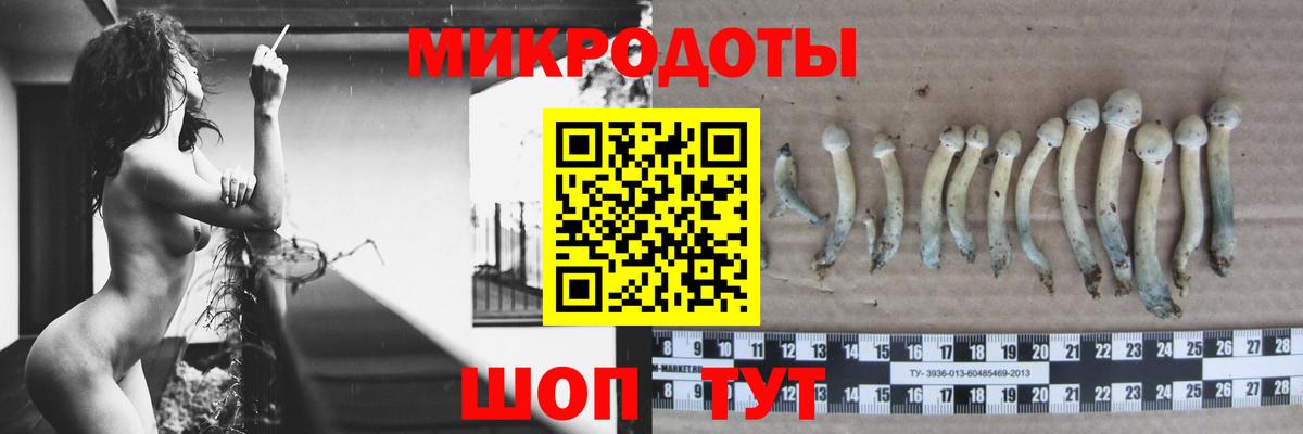 Галлюциногенные грибы Psilocybine cubensis Валуйки